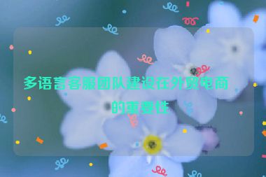 多語言客服團(tuán)隊(duì)建設(shè)在外貿(mào)電商中的重要性