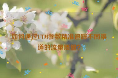 如何通過UTM參數(shù)精準(zhǔn)追蹤不同渠道的流量質(zhì)量？