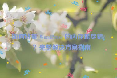 如何修復(fù) WordPress 的內(nèi)存耗盡錯(cuò)誤？完整解決方案指南