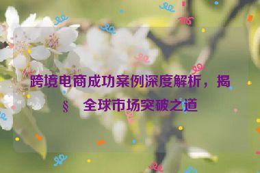 跨境電商成功案例深度解析，揭秘全球市場突破之道