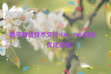 電子網(wǎng)站技術(shù)文檔SEO，PDF/白皮書優(yōu)化指南
