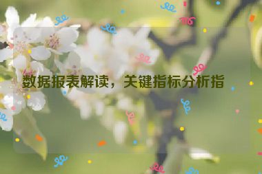 數(shù)據(jù)報表解讀，關(guān)鍵指標(biāo)分析指南