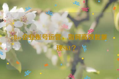 eBay企業(yè)賬號(hào)運(yùn)營(yíng)，如何高效批量管理SKU？