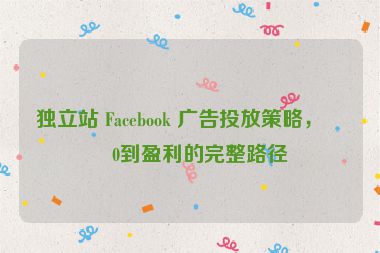 獨(dú)立站 Facebook 廣告投放策略，從0到盈利的完整路徑