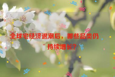 全球宅經(jīng)濟(jì)退潮后，哪些品類仍在持續(xù)增長(zhǎng)？