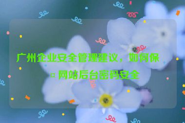廣州企業(yè)安全管理建議，如何保護(hù)網(wǎng)站后臺(tái)密碼安全