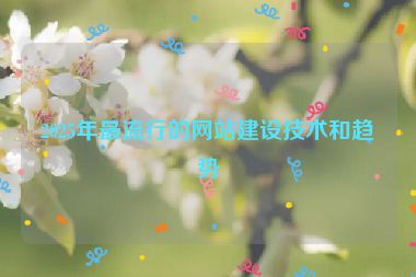 2025年最流行的網(wǎng)站建設(shè)技術(shù)和趨勢