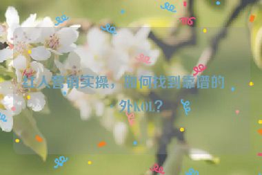 紅人營銷實操，如何找到靠譜的海外KOL？