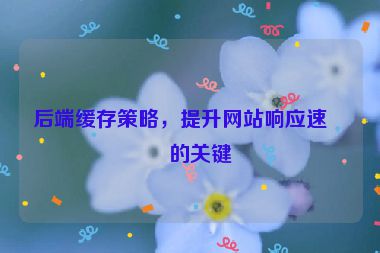 后端緩存策略，提升網(wǎng)站響應(yīng)速度的關(guān)鍵