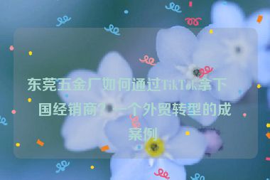 東莞五金廠如何通過(guò)TikTok拿下美國(guó)經(jīng)銷商？一個(gè)外貿(mào)轉(zhuǎn)型的成功案例