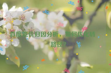百度競價歸因分析，如何優(yōu)化轉(zhuǎn)化路徑？