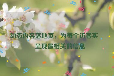動(dòng)態(tài)內(nèi)容落地頁(yè)，為每個(gè)訪客實(shí)時(shí)呈現(xiàn)最相關(guān)的信息