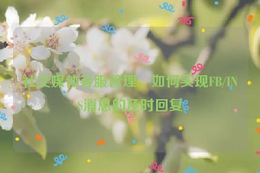 社交媒體客服管理，如何實(shí)現(xiàn)FB/INS消息的及時回復(fù)
