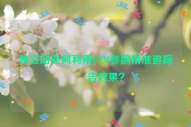 獨(dú)立站如何利用UTM參數(shù)精準(zhǔn)追蹤廣告效果？