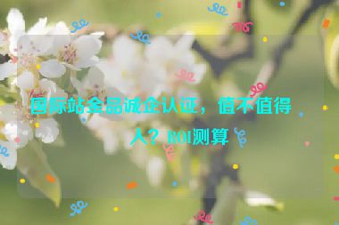 國(guó)際站金品誠(chéng)企認(rèn)證，值不值得投入？ROI測(cè)算