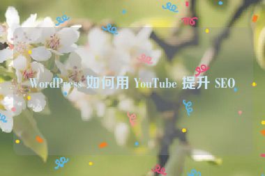 WordPress 如何用 YouTube 提升 SEO？