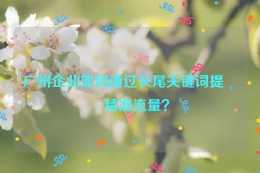 廣州企業(yè)如何通過長(zhǎng)尾關(guān)鍵詞提升精準(zhǔn)流量？