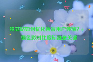 獨(dú)立站如何優(yōu)化色盲用戶體驗(yàn)？遵循色彩對(duì)比度標(biāo)準(zhǔn)是關(guān)鍵