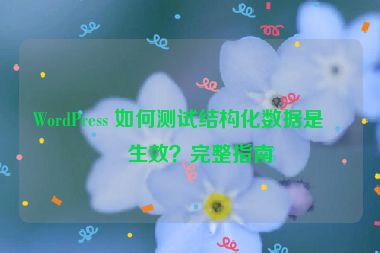 WordPress 如何測(cè)試結(jié)構(gòu)化數(shù)據(jù)是否生效？完整指南