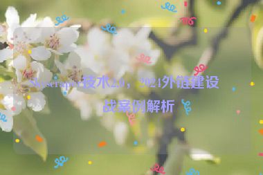 Skyscraper技術(shù)2.0，2024外鏈建設(shè)實戰(zhàn)案例解析