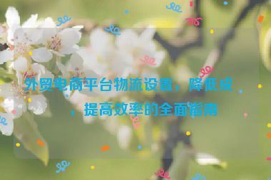 外貿(mào)電商平臺(tái)物流設(shè)置，降低成本，提高效率的全面指南