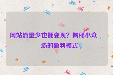 網(wǎng)站流量少也能變現(xiàn)？揭秘小眾市場的盈利模式