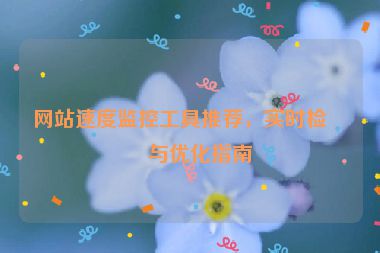 網(wǎng)站速度監(jiān)控工具推薦，實(shí)時檢測與優(yōu)化指南