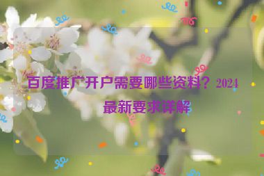 百度推廣開(kāi)戶需要哪些資料？2024年最新要求詳解