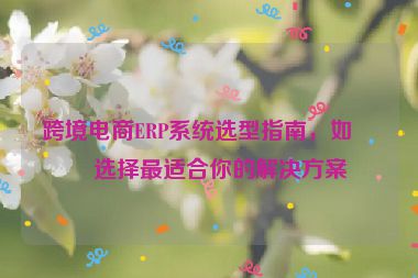 跨境電商ERP系統(tǒng)選型指南，如何選擇最適合你的解決方案