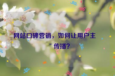 網(wǎng)站口碑營銷，如何讓用戶主動傳播？