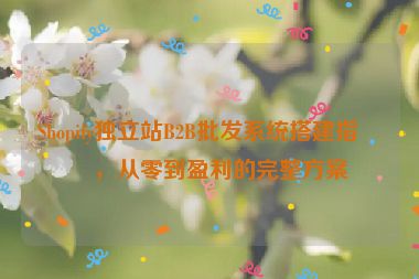 Shopify獨立站B2B批發(fā)系統(tǒng)搭建指南，從零到盈利的完整方案
