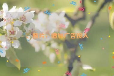 、圖片，增加廣告投入