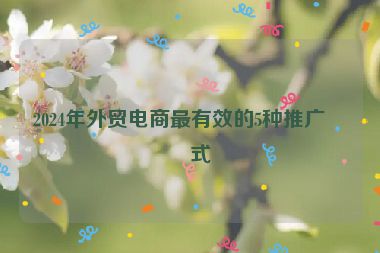 2024年外貿(mào)電商最有效的5種推廣方式