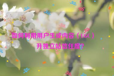 如何利用用戶生成內(nèi)容（UGC）提升獨立站信任度？
