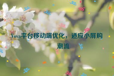 Vova平臺移動端優(yōu)化，適應小屏購物潮流