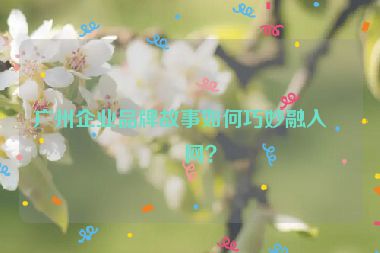 廣州企業(yè)品牌故事如何巧妙融入官網(wǎng)？