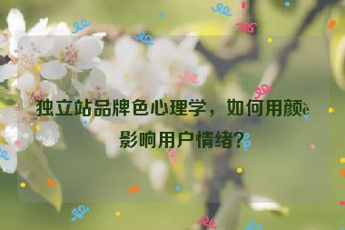 獨立站品牌色心理學(xué)，如何用顏色影響用戶情緒？