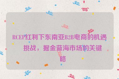 RCEP紅利下東南亞B2B電商的機(jī)遇與挑戰(zhàn)，掘金藍(lán)海市場(chǎng)的關(guān)鍵策略