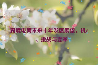 跨境電商未來十年發(fā)展展望，機(jī)遇、挑戰(zhàn)與變革