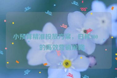 小預(yù)算精準(zhǔn)投放方案，日耗300元的高效營銷策略