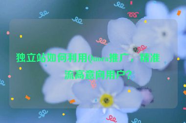 獨(dú)立站如何利用Quora推廣，精準(zhǔn)引流高意向用戶？
