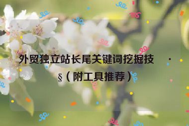 外貿獨立站長尾關鍵詞挖掘技巧（附工具推薦）