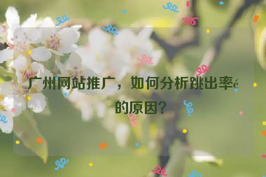 廣州網(wǎng)站推廣，如何分析跳出率高的原因？