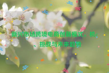新興市場跨境電商創(chuàng)新模式，機遇、挑戰(zhàn)與未來趨勢