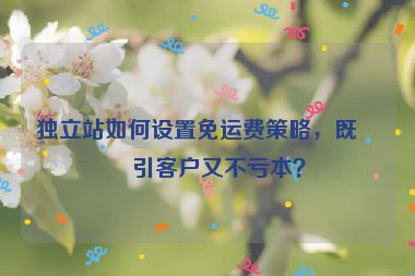 獨(dú)立站如何設(shè)置免運(yùn)費(fèi)策略，既吸引客戶又不虧本？