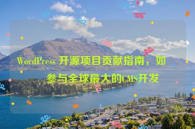 WordPress 開源項目貢獻指南，如何參與全球最大的CMS開發(fā)