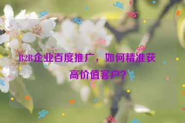 B2B企業(yè)百度推廣，如何精準(zhǔn)獲取高價值客戶？