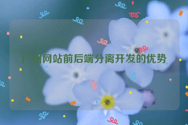 廣州網(wǎng)站前后端分離開發(fā)的優(yōu)勢(shì)