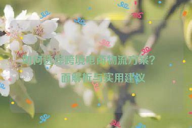 如何選擇跨境電商物流方案？全面解析與實用建議