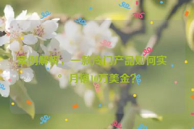 案例解析，一款冷門產(chǎn)品如何實現(xiàn)月銷10萬美金？